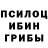 Галлюциногенные грибы Cubensis Waleri Kaschuba