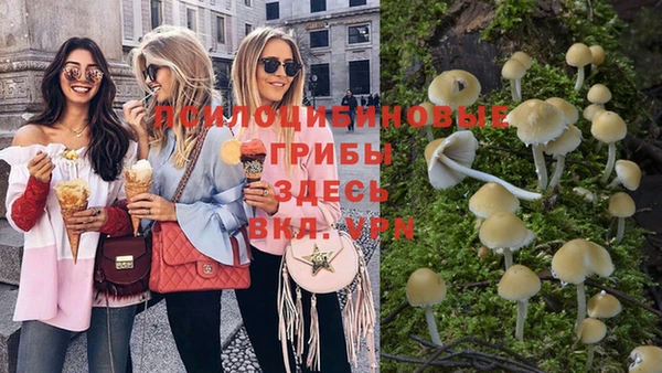 соль курить ск Алексеевка