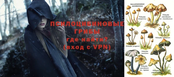 соль курить ск Алексеевка