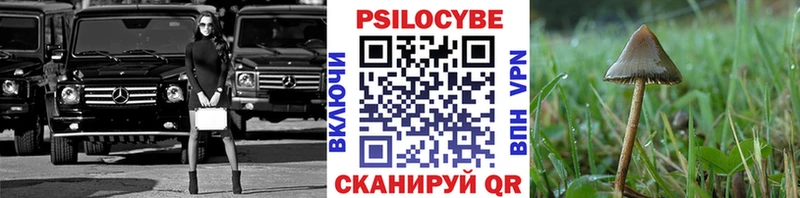 Галлюциногенные грибы ЛСД  Трёхгорный 